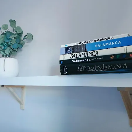 Apartment Premium Plaza Mayor